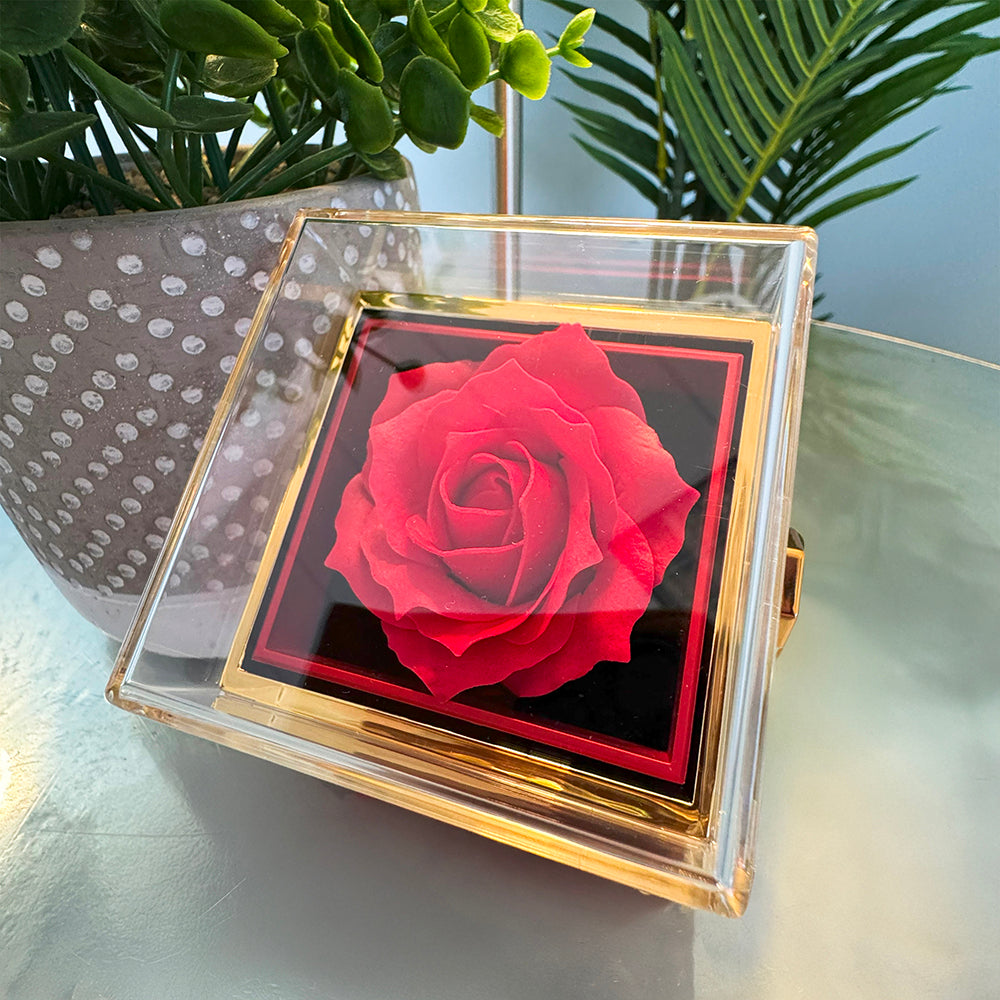 Love Knot Necklace with Rotating Rose Gift Box